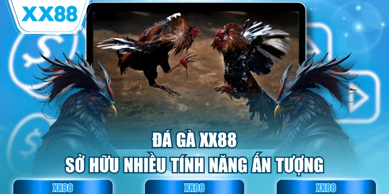 Đá gà XX88 sở hữu nhiều tính năng ấn tượng